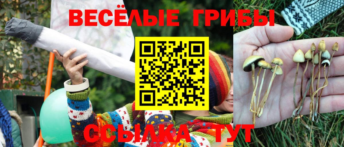 Надым  Псилоцибиновые грибы мицелий  закладки  Вход с VPN 