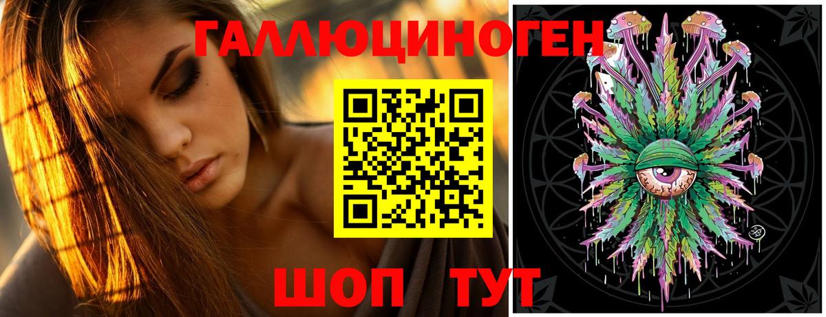 Галлюциногенные грибы Psilocybine cubensis Надым